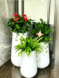 宁波绿植租赁效果-杭州湾绿化养护风险-余姚花卉租摆合同-海曙绿植租赁价格